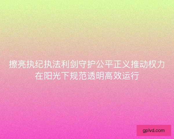 擦亮执纪执法利剑守护公平正义推动权力在阳光下规范透明高效运行